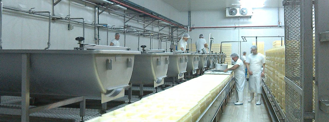 Cheese Production
