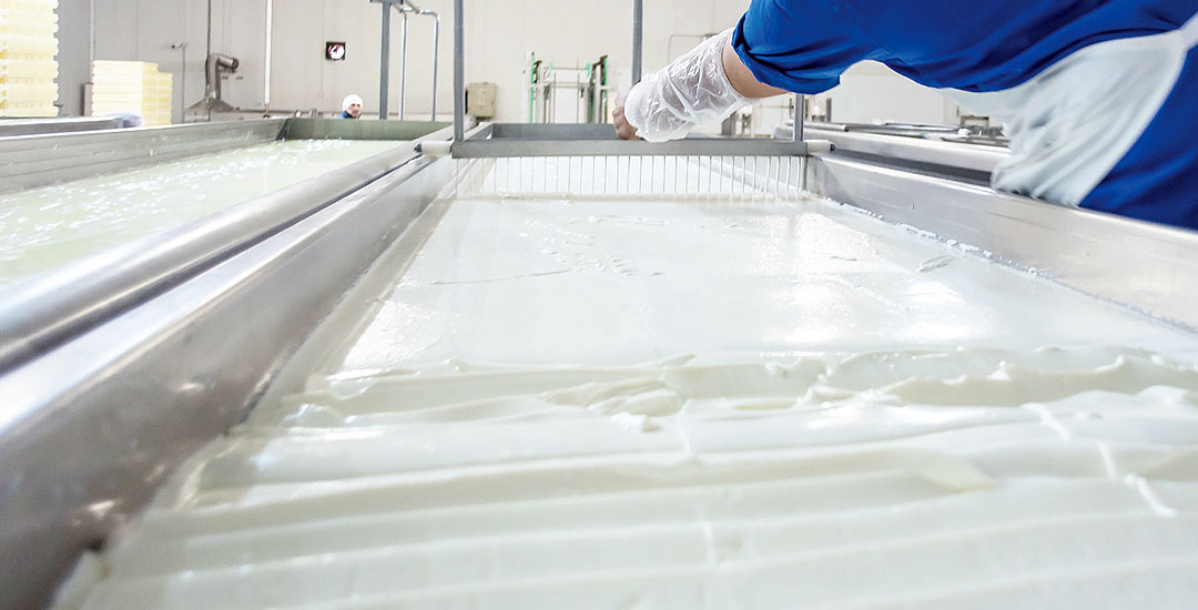 lytras feta cheese